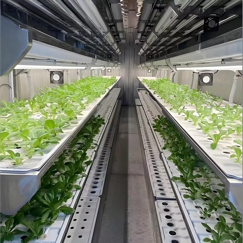 Contenitore Intelligente per C - Urban Farming Hydroponic System recensione e prezzo