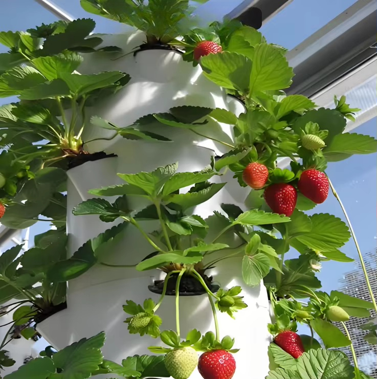 Sistema modulare idroponico a  - Urban Farming Hydroponic System recensione e prezzo