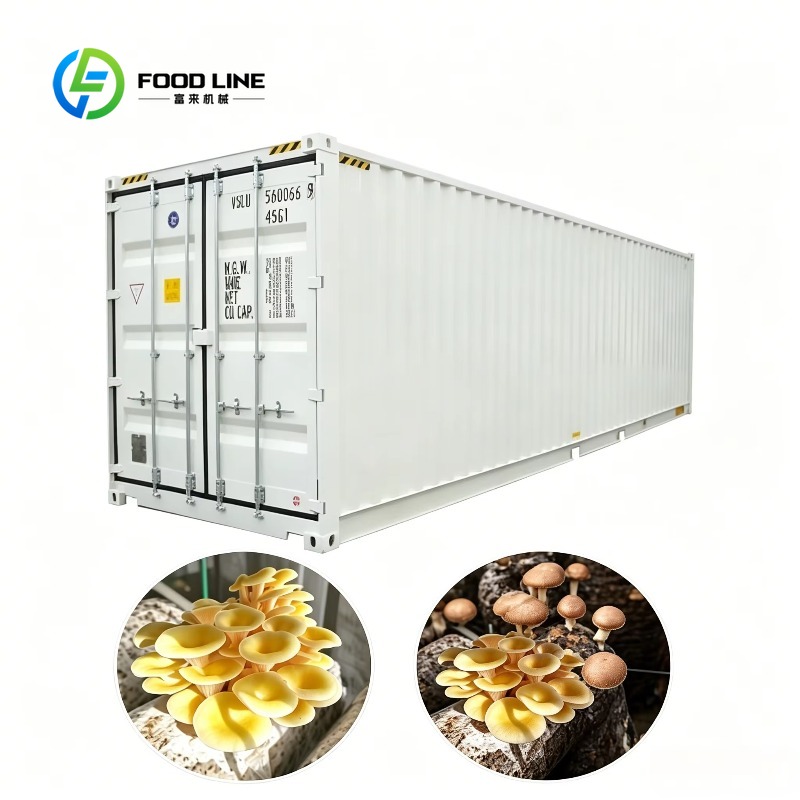 Fattoria Idroponica in Contain - Urban Farming Hydroponic System recensione e prezzo