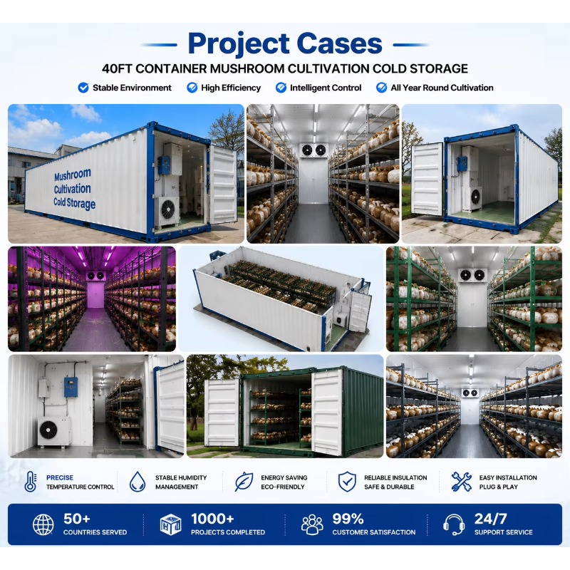 Fattoria Idroponica in Contain - Urban Farming Hydroponic System recensione e prezzo